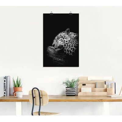 ARTland - Der schlafende Jaguar - 40x60 cm - Alu-Dibond - Wall art ARTland - Der schlafende Jaguar - 40x60 cm - Alu-Dibond - Wall art