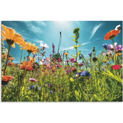 ARTLAND Buntes Blumenfeld Wandbild - Blumentapete für Innen & Außen ARTLAND Buntes Blumenfeld Wandbild - Blumentapete für Innen & Außen
