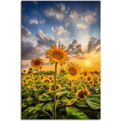 ARTLAND Sonnenblumen im Sonnenuntergang Leinwandbild - Wandbild ARTLAND Sonnenblumen im Sonnenuntergang Leinwandbild - Wandbild