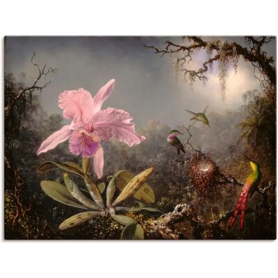 ARTLAND Cattleya Orchidee und drei Kolibris - Wandbild ARTLAND Cattleya Orchidee und drei Kolibris - Wandbild