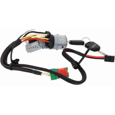 Vaico cilindru de aprindere pentru Peugeot 307 - 4162.X4 Vaico cilindru de aprindere pentru Peugeot 307 - 4162.X4