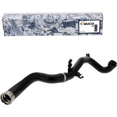VAICO V241556 Turbo Intercooler Slange - Turbo Intercooler Slange VAICO V241556 Turbo Intercooler Slange - Turbo Intercooler Slange