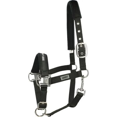Eskadron Schwarzes Halfter - Dornschnalle Basics - Stilvoll & Langlebig Eskadron Schwarzes Halfter - Dornschnalle Basics - Stilvoll & Langlebig