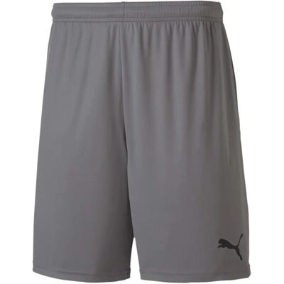 PUMA Mężczyzna Model: teamGOAL 23 knit Szare Szorty - Shorts PUMA Mężczyzna Model: teamGOAL 23 knit Szare Szorty - Shorts