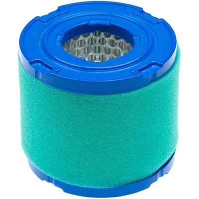 Set di filtri vhbw per trattorino da giardino - Compatibile con Briggs & Stratton 303400 Set di filtri vhbw per trattorino da giardino - Compatibile con Briggs & Stratton 303400