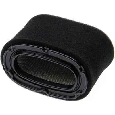 Set di filtri per trattore da prato Honda - Pre-filtro e filtro aria - Nero/Bianco Set di filtri per trattore da prato Honda - Pre-filtro e filtro aria - Nero/Bianco