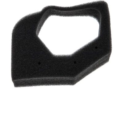 Filtre en mousse pour coupe-herbe Honda - Compatible avec moteurs GX25 et GX35 - Publicité Filtre en mousse pour coupe-herbe Honda - Compatible avec moteurs GX25 et GX35 - Publicité