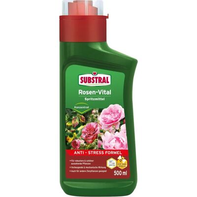 SUBSTRAL Concentré Vital de Rose - Engrais pour Roses - 500 ml - Publicité SUBSTRAL Concentré Vital de Rose - Engrais pour Roses - 500 ml - Publicité