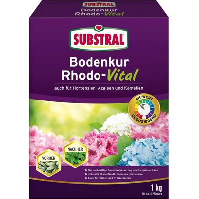 SUBSTRAL Bodenkur Rhodo-Vital - Pflanzendünger für sauren Boden SUBSTRAL Bodenkur Rhodo-Vital - Pflanzendünger für sauren Boden