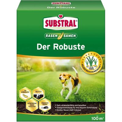 SUBSTRAL Graines de pelouse robustes, 2 kg - Publicité SUBSTRAL Graines de pelouse robustes, 2 kg - Publicité