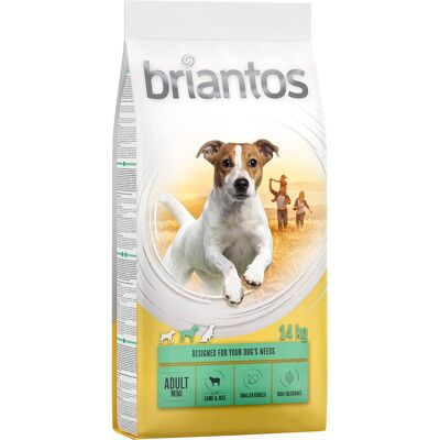 Briantos Grain Free Adult Mini Lamb & Rice - Dog Food Briantos Grain Free Adult Mini Lamb & Rice - Dog Food