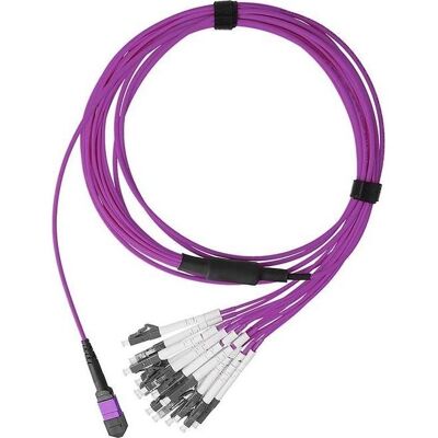 BlueOptics LWL MPO/8xLC Duplex Breakout Kabel - 3m Netzwerk BlueOptics LWL MPO/8xLC Duplex Breakout Kabel - 3m Netzwerk