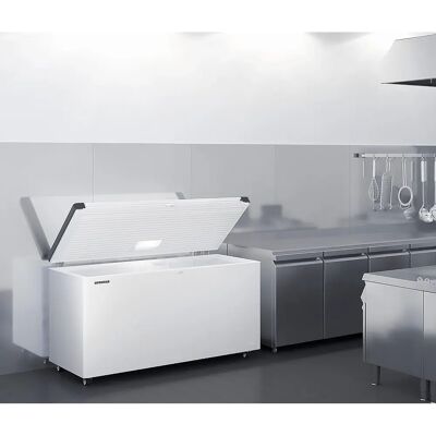 GGM Gastro - Liebherr Vriezer - 404 Liter - Witte Plastic Deksel GGM Gastro - Liebherr Vriezer - 404 Liter - Witte Plastic Deksel