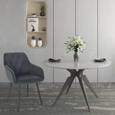 Silla de comedor tapizada en terciopelo WOLTU BH352dgr-1 - Silla Silla de comedor tapizada en terciopelo WOLTU BH352dgr-1 - Silla