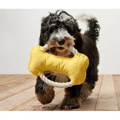 Hundespielzeug - Weiß & Gelb - Umweltfreundliches Material Hundespielzeug - Weiß & Gelb - Umweltfreundliches Material