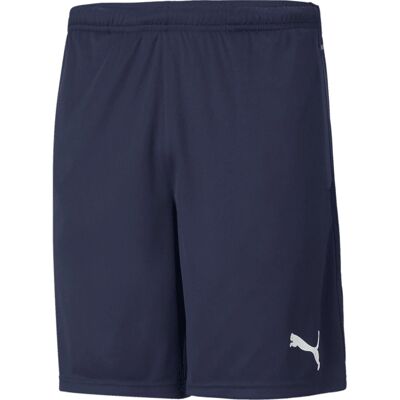 Puma 65733606 Navy/Blue Shorts - Ganzjährig für Männer Puma 65733606 Navy/Blue Shorts - Ganzjährig für Männer
