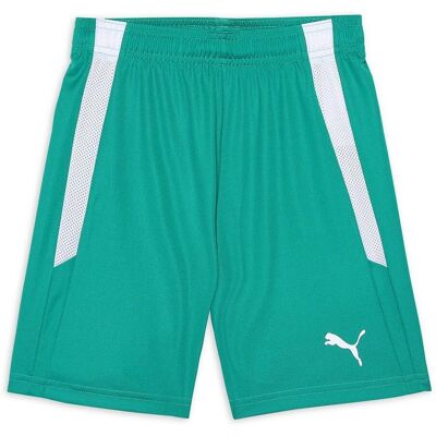 Puma Grüne Sporthose - teamLIGA 70493105 Puma Grüne Sporthose - teamLIGA 70493105