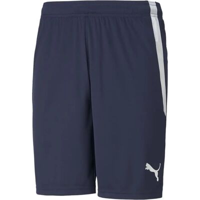 Puma Shorts Navy/Blau - 70492406 - Herren Puma Shorts Navy/Blau - 70492406 - Herren