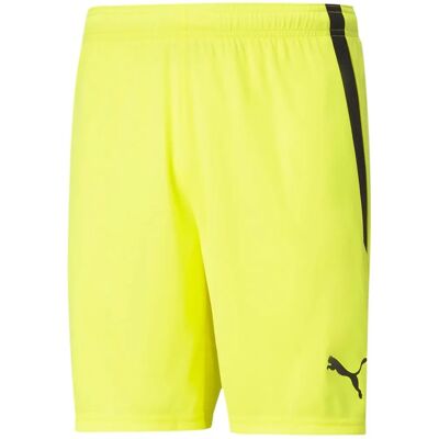 Puma Herren Sport Shorts - Recycled, Moisture-Wicking - Sport Shorts Puma Herren Sport Shorts - Recycled, Moisture-Wicking - Sport Shorts