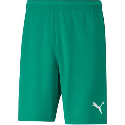 Puma Teamrise 70494205 Shorts - Ανδρικά σορτς Puma Teamrise 70494205 Shorts - Ανδρικά σορτς