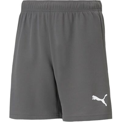 Puma Shorts Teamrise Short Jr Gray - Short - Children’s Puma Shorts Teamrise Short Jr Gray - Short - Children’s