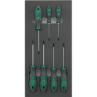 Fortis - Módulo Vacío Para Destornillador Torx - Tipo de Producto Fortis - Módulo Vacío Para Destornillador Torx - Tipo de Producto