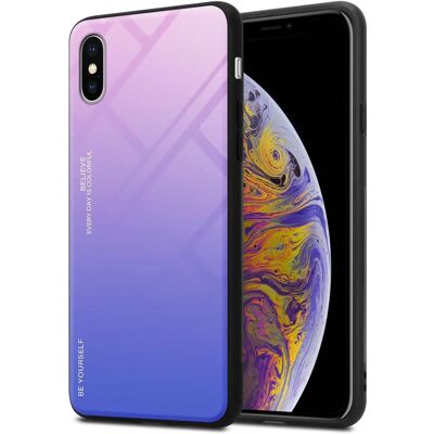 Apple iPhone XS MAX TPU Hülle - Rückseite mit Schutzglas - Zweifarbig PINK - BLAU - Handyhülle Apple iPhone XS MAX TPU Hülle - Rückseite mit Schutzglas - Zweifarbig PINK - BLAU - Handyhülle