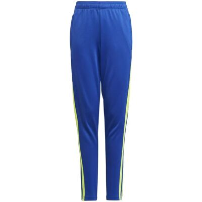 Adidas Squadra 21 Entrenamiento GP6449 Azul Todo el Año Pantalones - Pantalones de entrenamiento Adidas Squadra 21 Entrenamiento GP6449 Azul Todo el Año Pantalones - Pantalones de entrenamiento