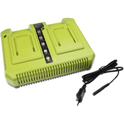 cargador doble vhbw para Ryobi RY40250 - Batería y Herramienta - 72W - Negro/Verde cargador doble vhbw para Ryobi RY40250 - Batería y Herramienta - 72W - Negro/Verde