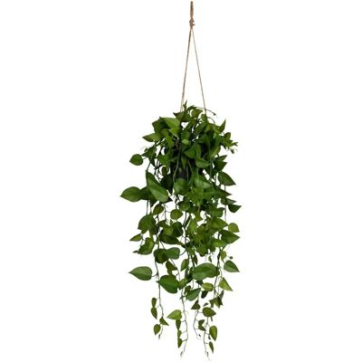 Pflanzen-Kölle - Philodendron-Hänger - Kunstpflanze Pflanzen-Kölle - Philodendron-Hänger - Kunstpflanze