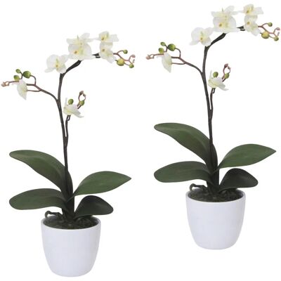 CREATIV GREEN - Orchidee Phalaenopsis - Kunstpflanze CREATIV GREEN - Orchidee Phalaenopsis - Kunstpflanze