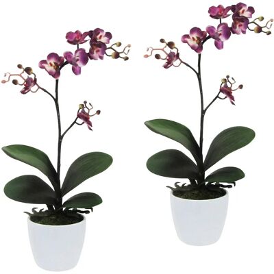CREATIV GREEN - Orchidee Phalaenopsis - Kunstpflanze CREATIV GREEN - Orchidee Phalaenopsis - Kunstpflanze