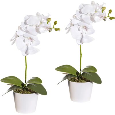 CREATIV GREEN - Orchidee Phalaenopsis - Weiß - 40 cm - Künstliche Pflanze CREATIV GREEN - Orchidee Phalaenopsis - Weiß - 40 cm - Künstliche Pflanze