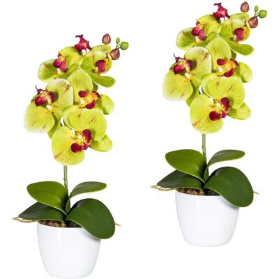 CREATIV GREEN - Orchidee Phalaenopsis - Artificial plant CREATIV GREEN - Orchidee Phalaenopsis - Artificial plant