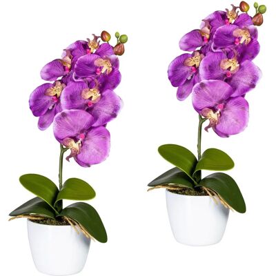 CREATIV GREEN - Orchidee Phalaenopsis - 40 cm - 2 St - Kunstpflanze CREATIV GREEN - Orchidee Phalaenopsis - 40 cm - 2 St - Kunstpflanze