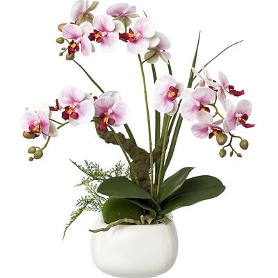 Kaiserkraft Pillekosbor - Real Touch, 460mm, Lila & Weiß Blumen - Künstliche Orchidee Kaiserkraft Pillekosbor - Real Touch, 460mm, Lila & Weiß Blumen - Künstliche Orchidee