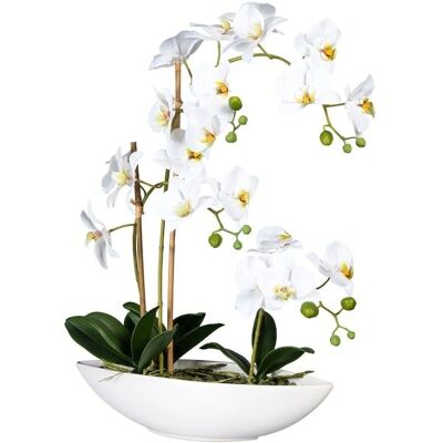 CREATIV GREEN - Phalaenopsis - 60 cm - weiß - Artificial plant CREATIV GREEN - Phalaenopsis - 60 cm - weiß - Artificial plant