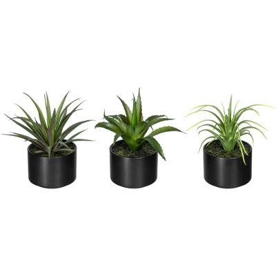 CREATIV GREEN Aloe, Agave, Tillandsie Set - Künstliche Zimmerpflanzen CREATIV GREEN Aloe, Agave, Tillandsie Set - Künstliche Zimmerpflanzen