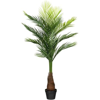 CREATIV GREEN Goldfruchtpalme Kunstpflanzen - Kunstpflanzen CREATIV GREEN Goldfruchtpalme Kunstpflanzen - Kunstpflanzen