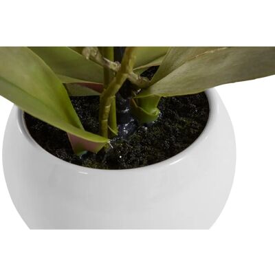 DELAVITA - Ernestine - Weiß - 42 cm - Artificial orchid DELAVITA - Ernestine - Weiß - 42 cm - Artificial orchid