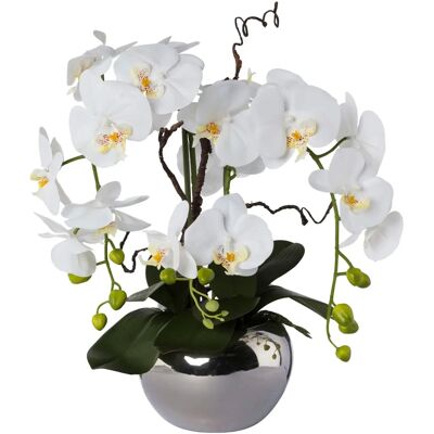 CREATIV GREEN Phalaenopsis Künstliche Orchidee - 55cm, Weiß CREATIV GREEN Phalaenopsis Künstliche Orchidee - 55cm, Weiß