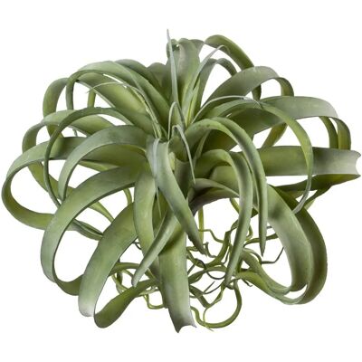 CREATIV GREEN Tillandsie Künstliche Pflanze - Künstliche Pflanze CREATIV GREEN Tillandsie Künstliche Pflanze - Künstliche Pflanze