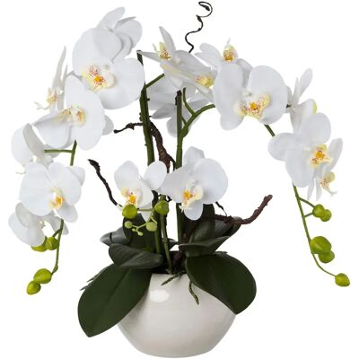 CREATIV GREEN - Phalaenopsis - 55 cm - Artificial orchid CREATIV GREEN - Phalaenopsis - 55 cm - Artificial orchid