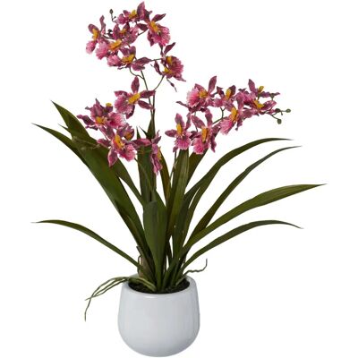 CREATIV GREEN Gambia Künstliche Orchidee - 50cm Rosa Dekoration CREATIV GREEN Gambia Künstliche Orchidee - 50cm Rosa Dekoration