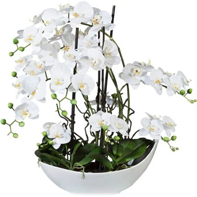 CREATIV GREEN Phalaenopsis Künstliche Orchidee - 68cm, Weiß CREATIV GREEN Phalaenopsis Künstliche Orchidee - 68cm, Weiß