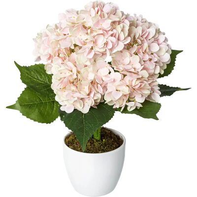 CREATIV GREEN - Hortensie - Rosa - 50 cm - Artificial plant CREATIV GREEN - Hortensie - Rosa - 50 cm - Artificial plant