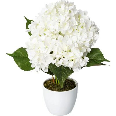 CREATIV GREEN - Hortensie - Weiß - 50 cm - Künstliche Pflanze CREATIV GREEN - Hortensie - Weiß - 50 cm - Künstliche Pflanze