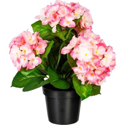 CREATIV GREEN Hortensienbusch 32 cm rosa Kunstpflanze CREATIV GREEN Hortensienbusch 32 cm rosa Kunstpflanze
