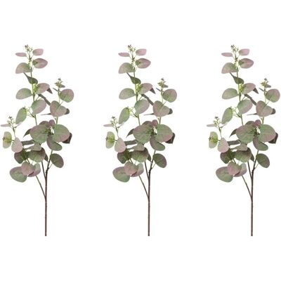 CREATIV GREEN - Eukalyptuszweig - 72 cm CREATIV GREEN - Eukalyptuszweig - 72 cm