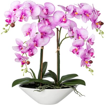 CREATIV GREEN - Phalaenopsis - Purple - Artificial plant CREATIV GREEN - Phalaenopsis - Purple - Artificial plant